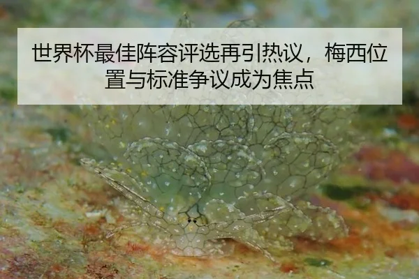 shi-jie-bei-zui-jia-zhen-rong-ping-xuan-zai-yin-re-yi-mei-xi-wei-zhi-yu-biao-zhun-zheng-yi-cheng-wei-jiao-dian-2-562.jpg